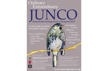 The Ordinary Extraordinary Junco project offers educational resources for use by teachers and students