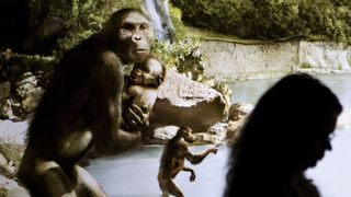 A sculpture of an Australopithecus with a baby in a museum