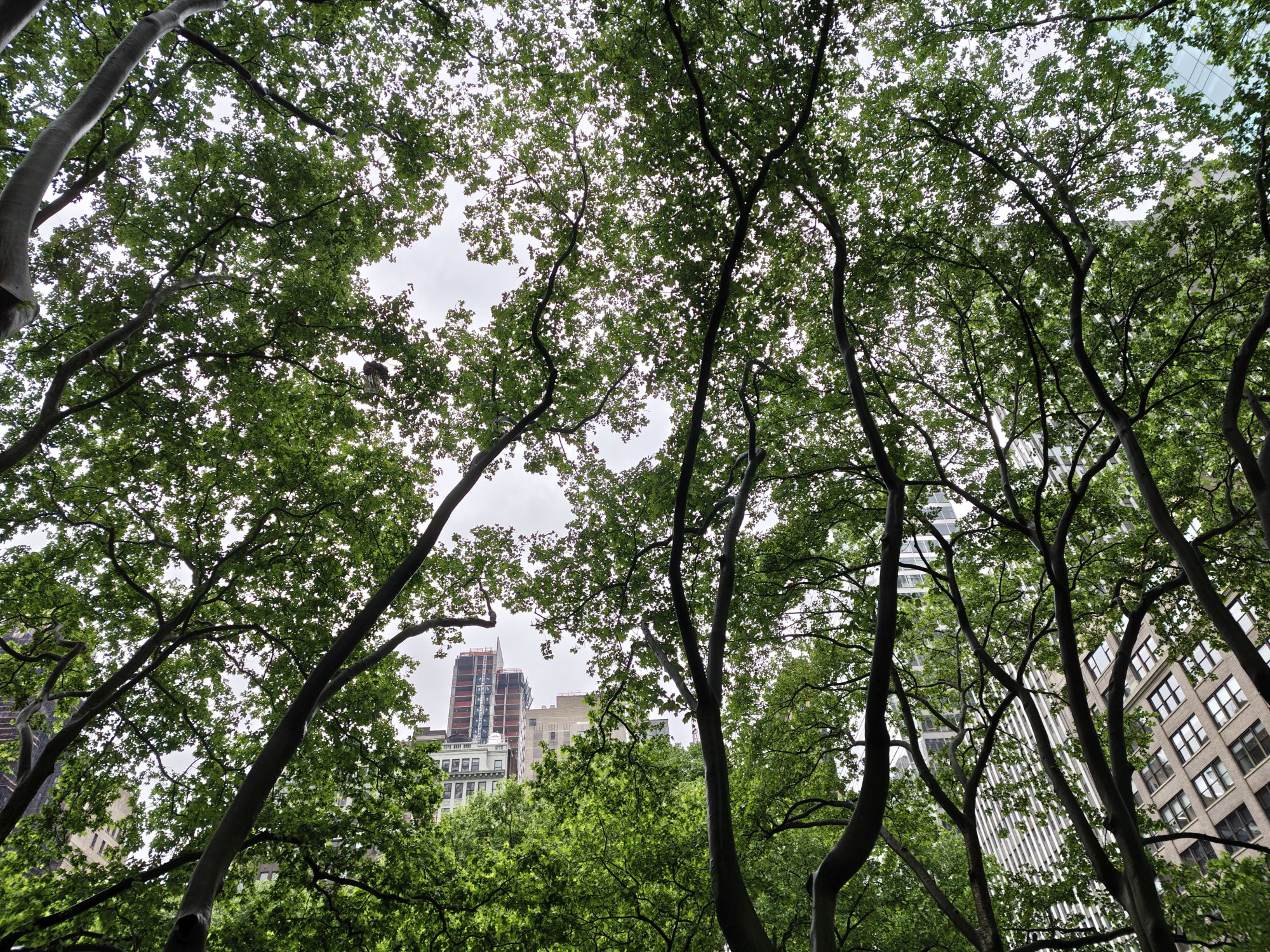Motorola Razr Ultra 2025 dynamic range sample.