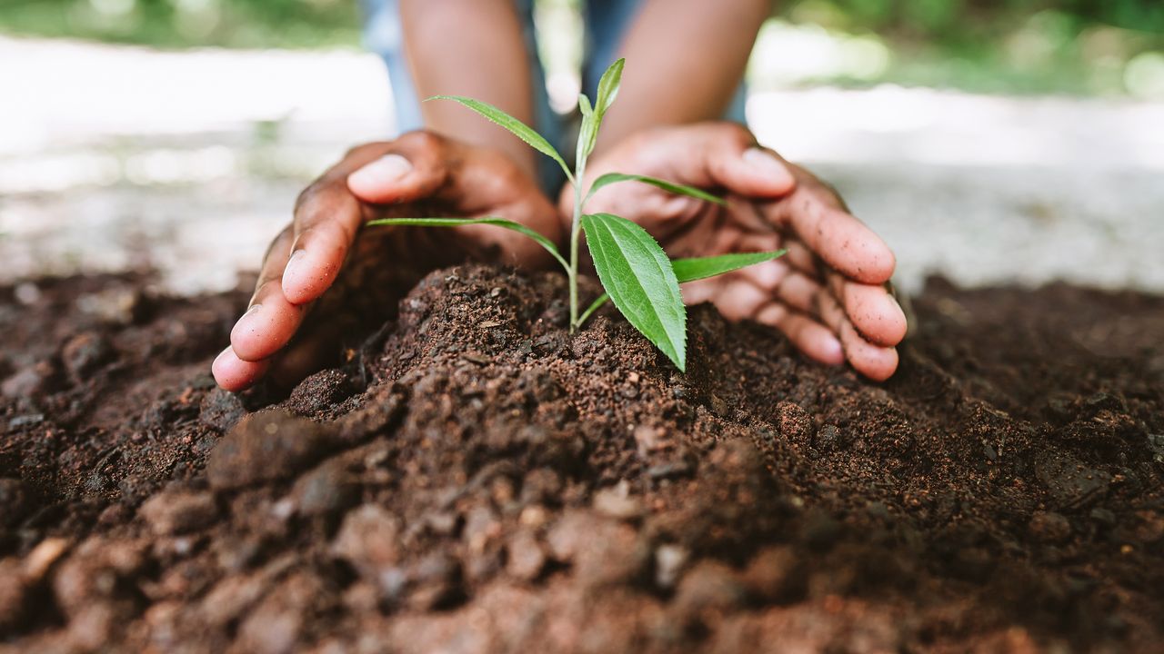 Feeling soil is ready for planting