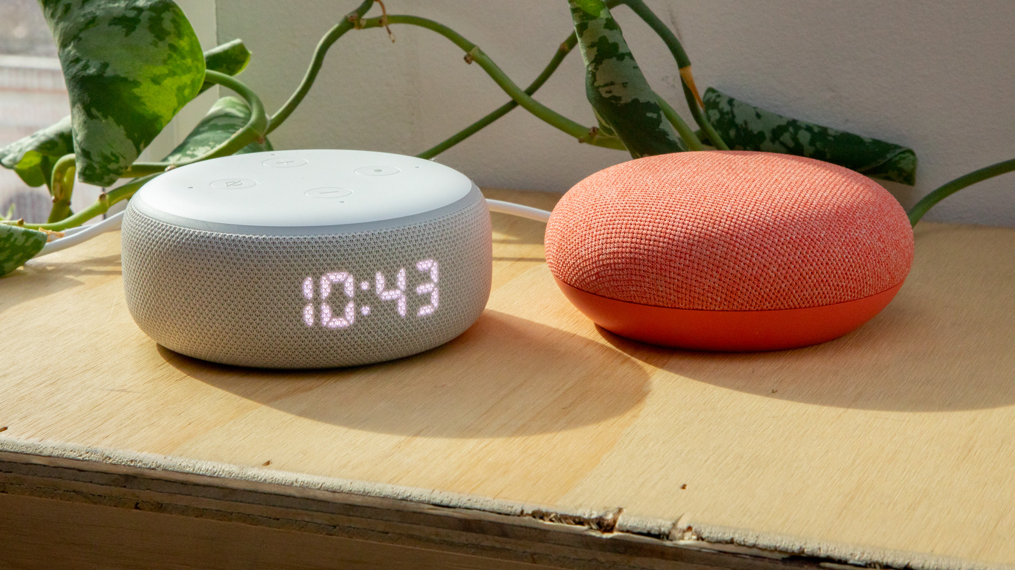 Echo Dot vs. Google Nest Mini