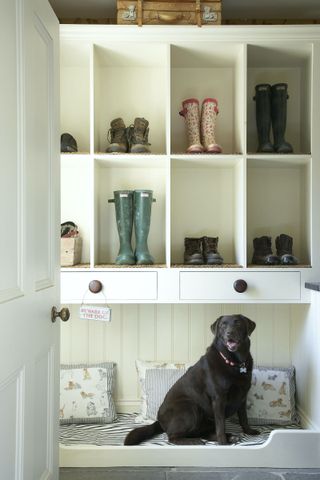 boot room with box storage and dog bed