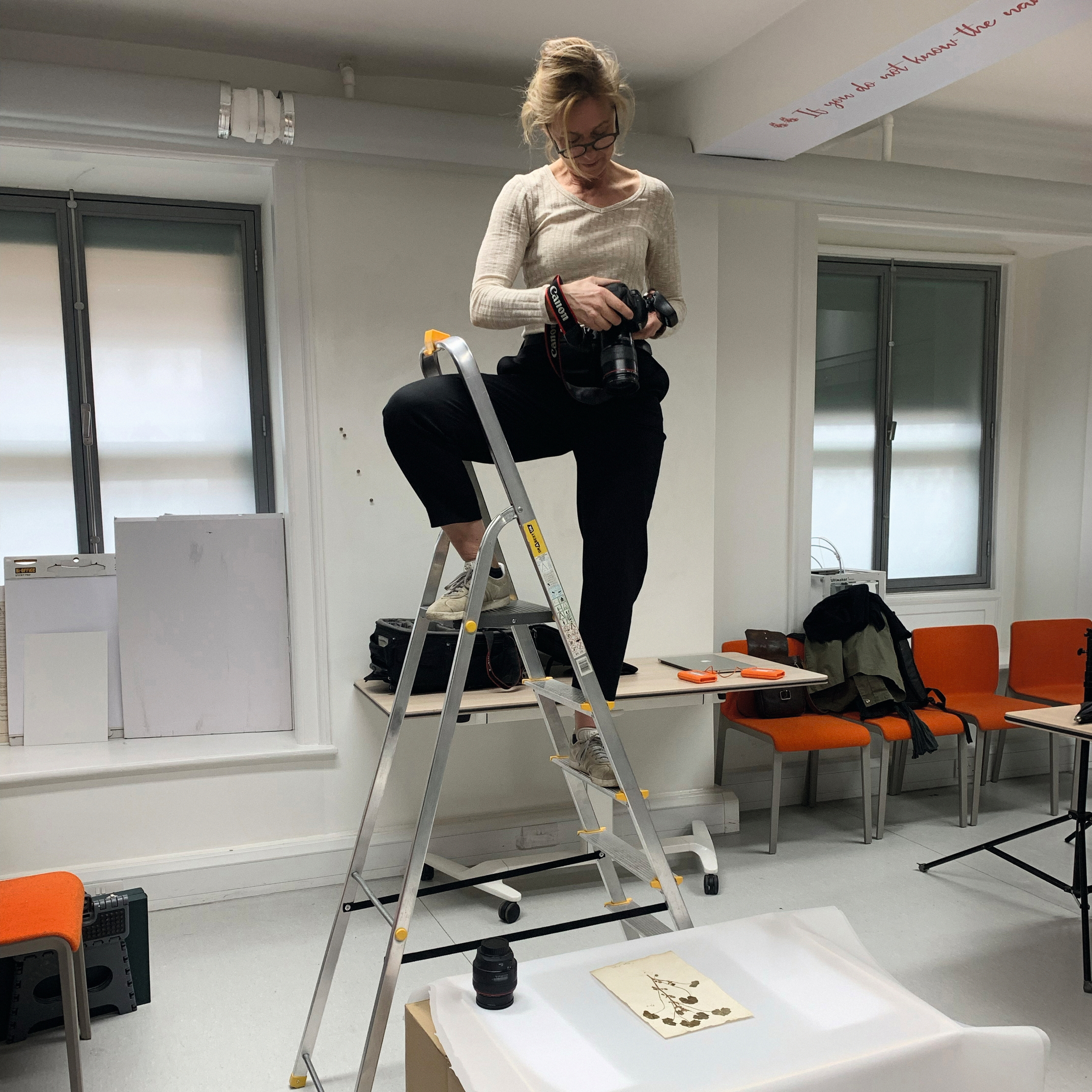 The photographer snaps the pictures of the plants from above while standing on a ladder