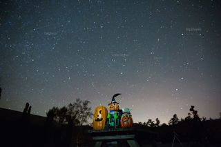 photograph of smiling pumpkins carved into different faces with the night sky above with constellations such as the Big Dipper, and Cepheus visible above. 