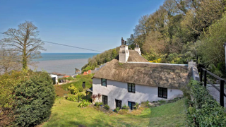 A thatched cottage with a garden by the sea