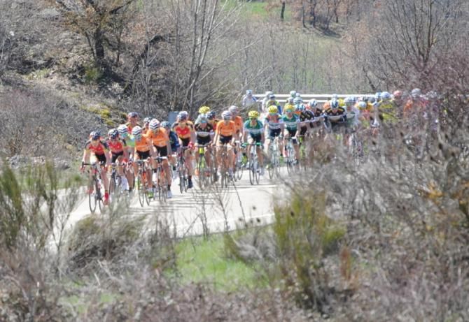 Peloton and the trees