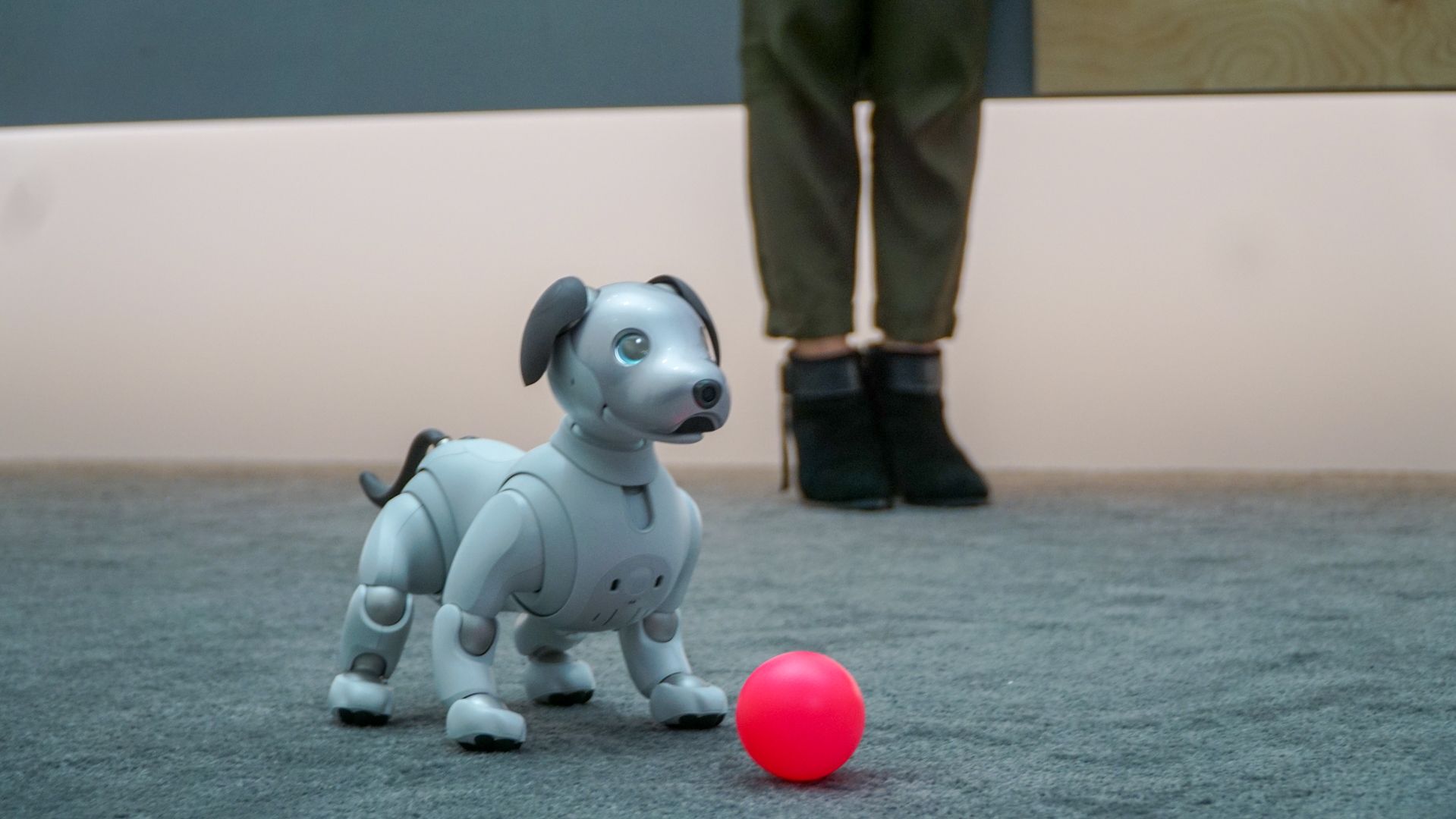 Sony’s Aibo Robot Dog Is Significantly More Expensive Than A Real Pooch ...