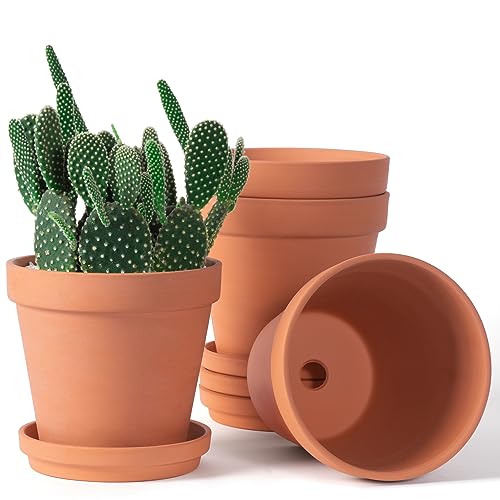 6 Inch Terracotta & Clay Pots for Plants With Saucer, Medium Terra Cotta Plant Pots With Drainage Hole, Flowerpot With Tray, Terracotta Pot for Indoor Outdoor Plant - Pack of 4 Planters