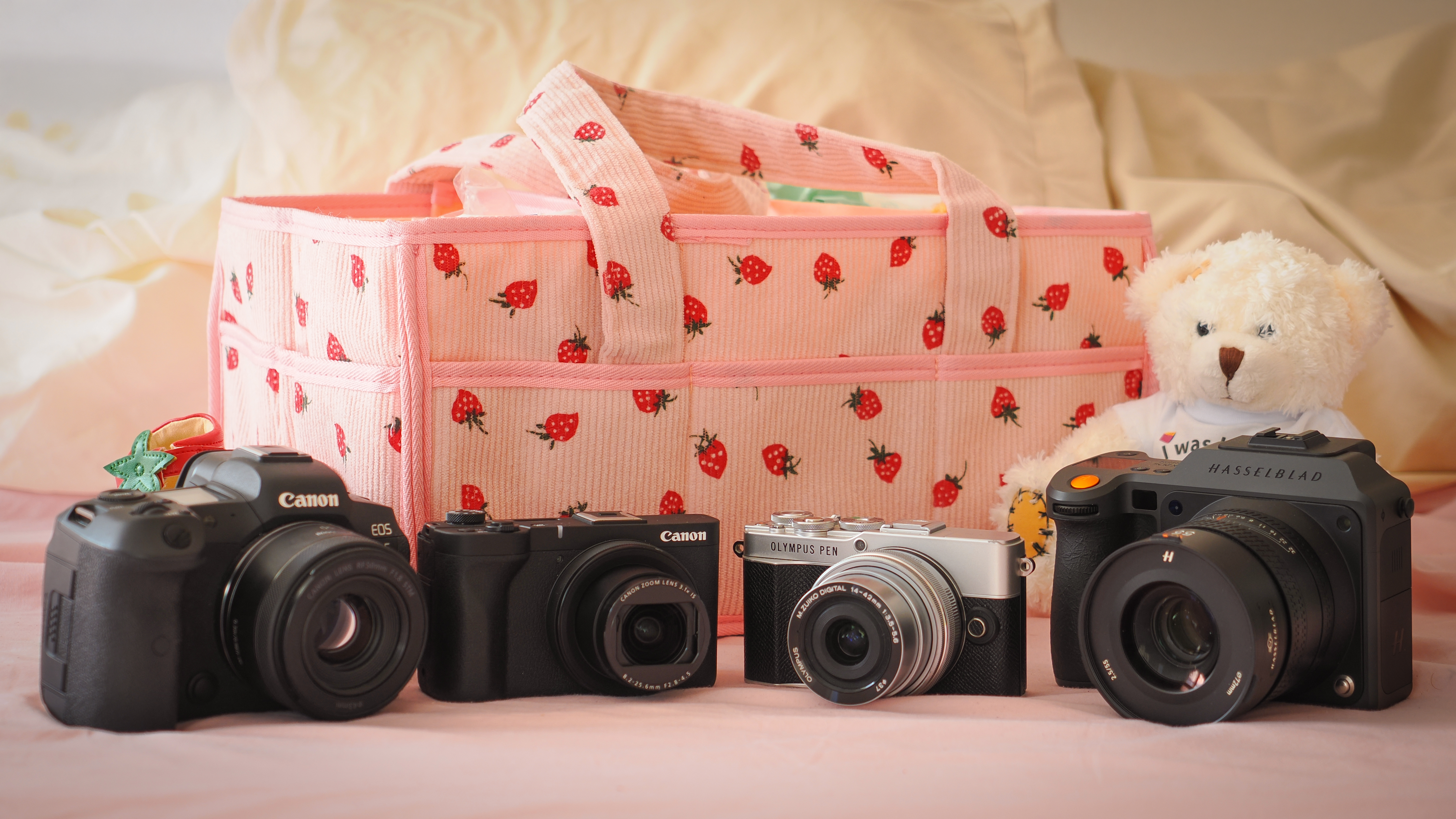 Canon EOS R5, Canon PowerShot V1, Olympus PEN E-P7 and Hasselblad X2D II in front of a baby changing hamper