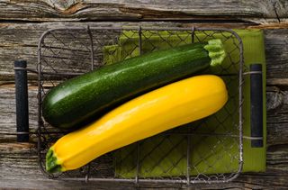 grow your own courgettes