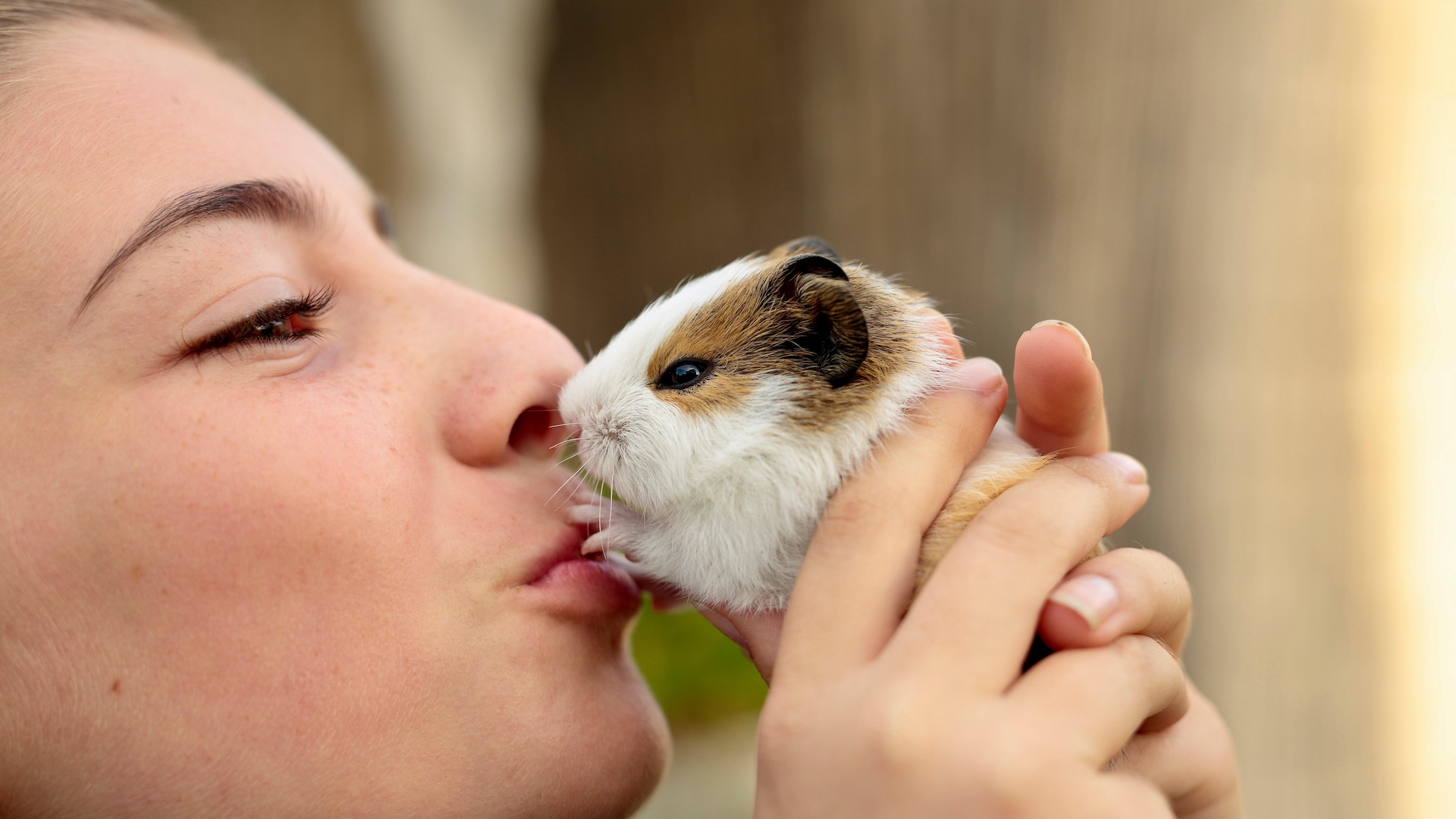 Girl kissing pet guinea pig