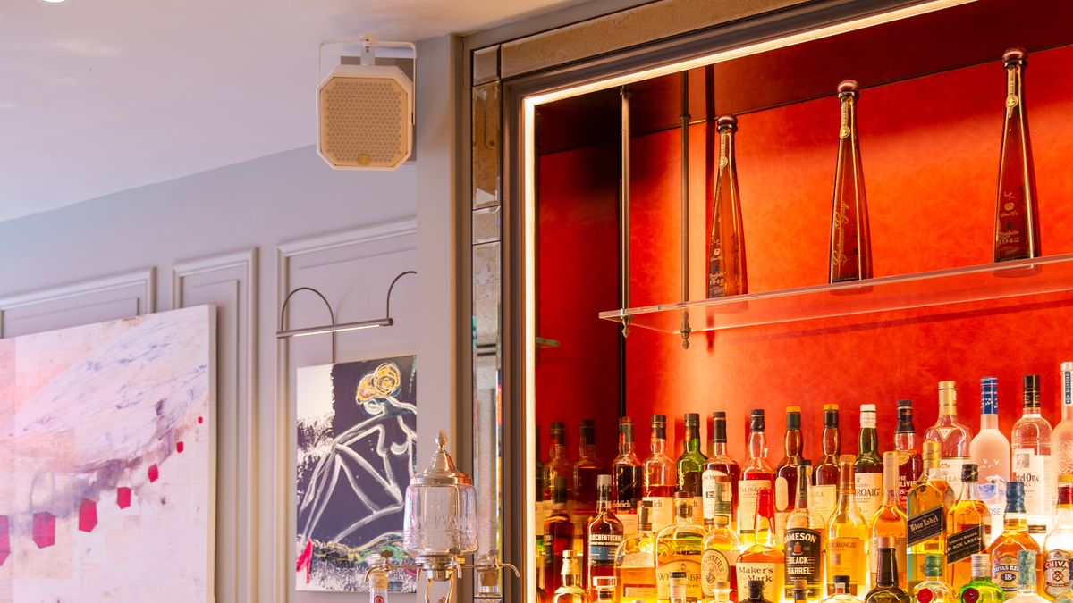 A 1 SOUND C5i Cannon powers the audio in a chic London restaurant. 