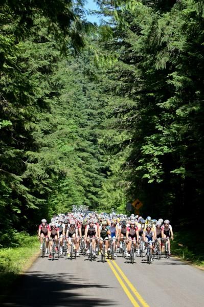 Rolling along through the dense Oregon forest.