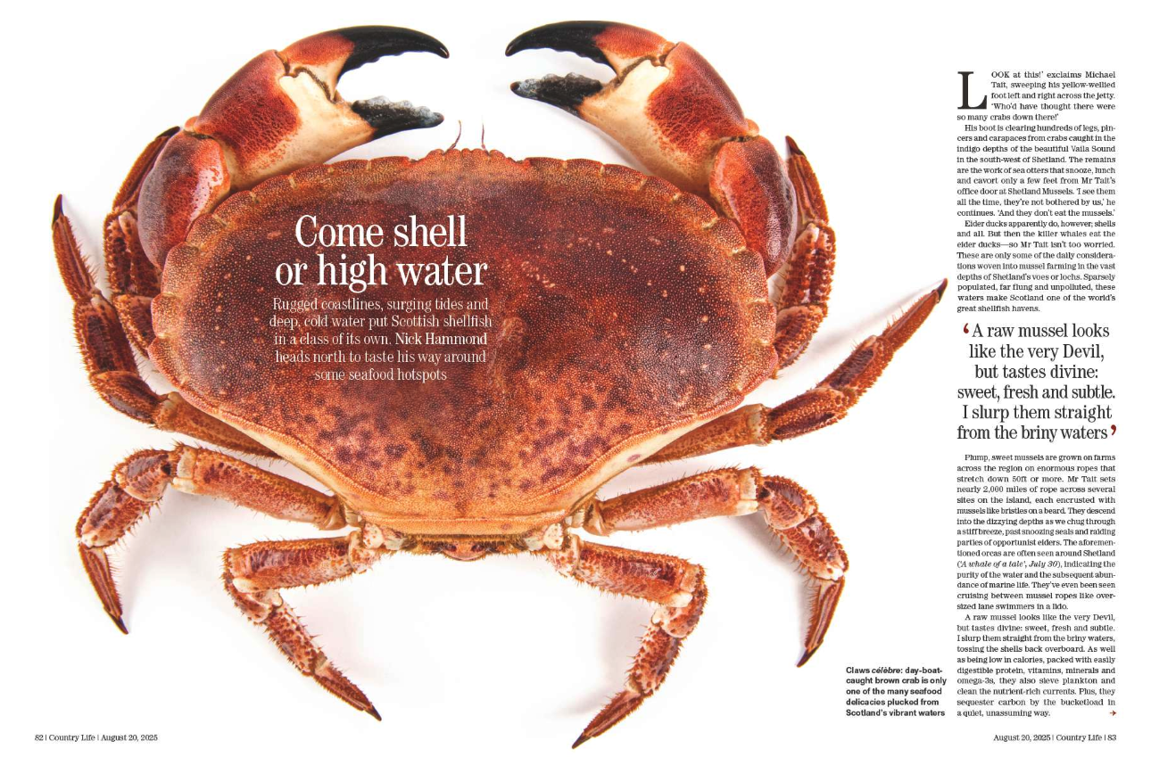 Spreads from the August 20 issue of Country Life