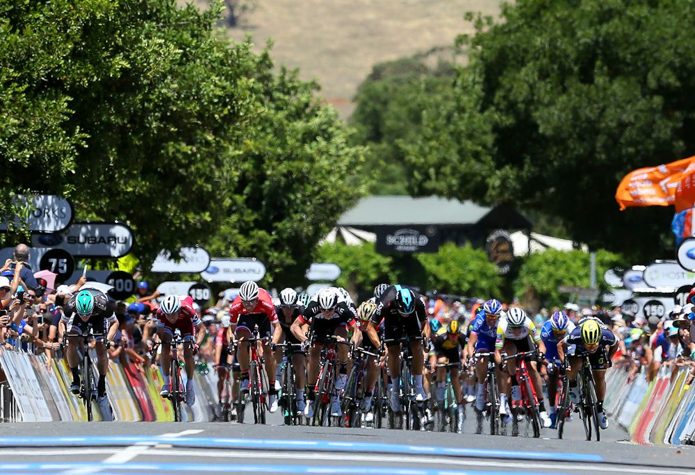 The sprinters approach the line during stage 1 at the Tour Down Under