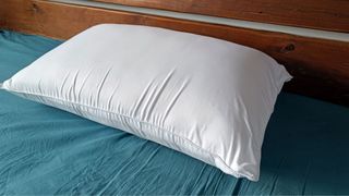 Bensons for Beds iGel Side Sleeper Deep Pillow as tested by Caramel Quin