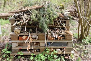 An insect hotel in a garden