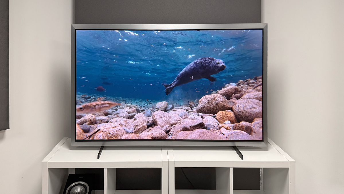 Samsung S99H 55-inch OLED TV