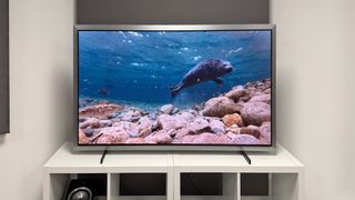 Samsung S99H 55-inch OLED TV