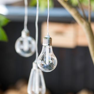 hanging solar bulbs in garden