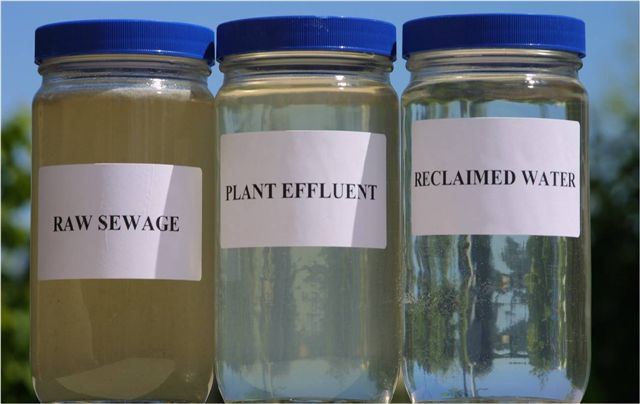 Three jars filled with different types of liquid labeled &quot;raw sewage,&quot; &quot;plant effluent&quot; and &quot;reclaimed water.&quot;