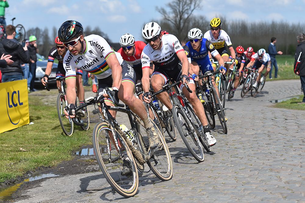 Peter Sagan in the rainbow jersey