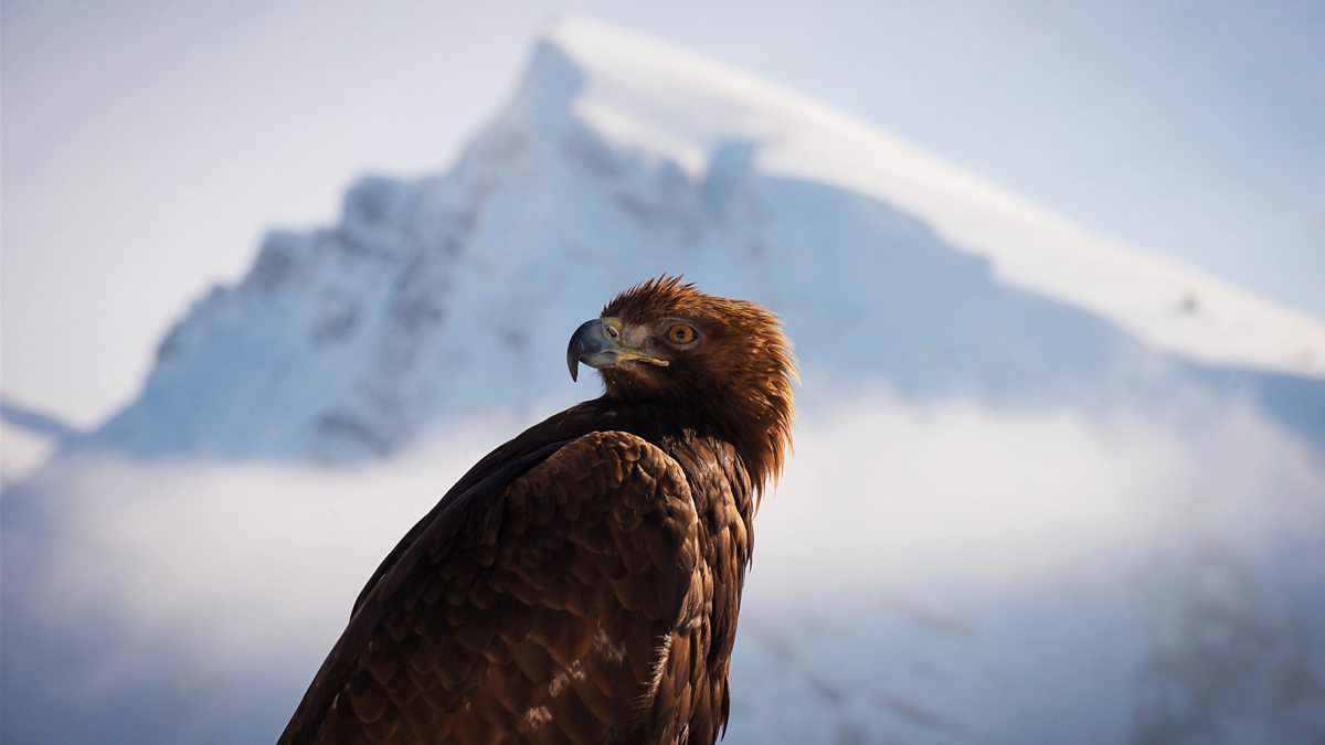 Planet Earth 2. Image Credit: BBC