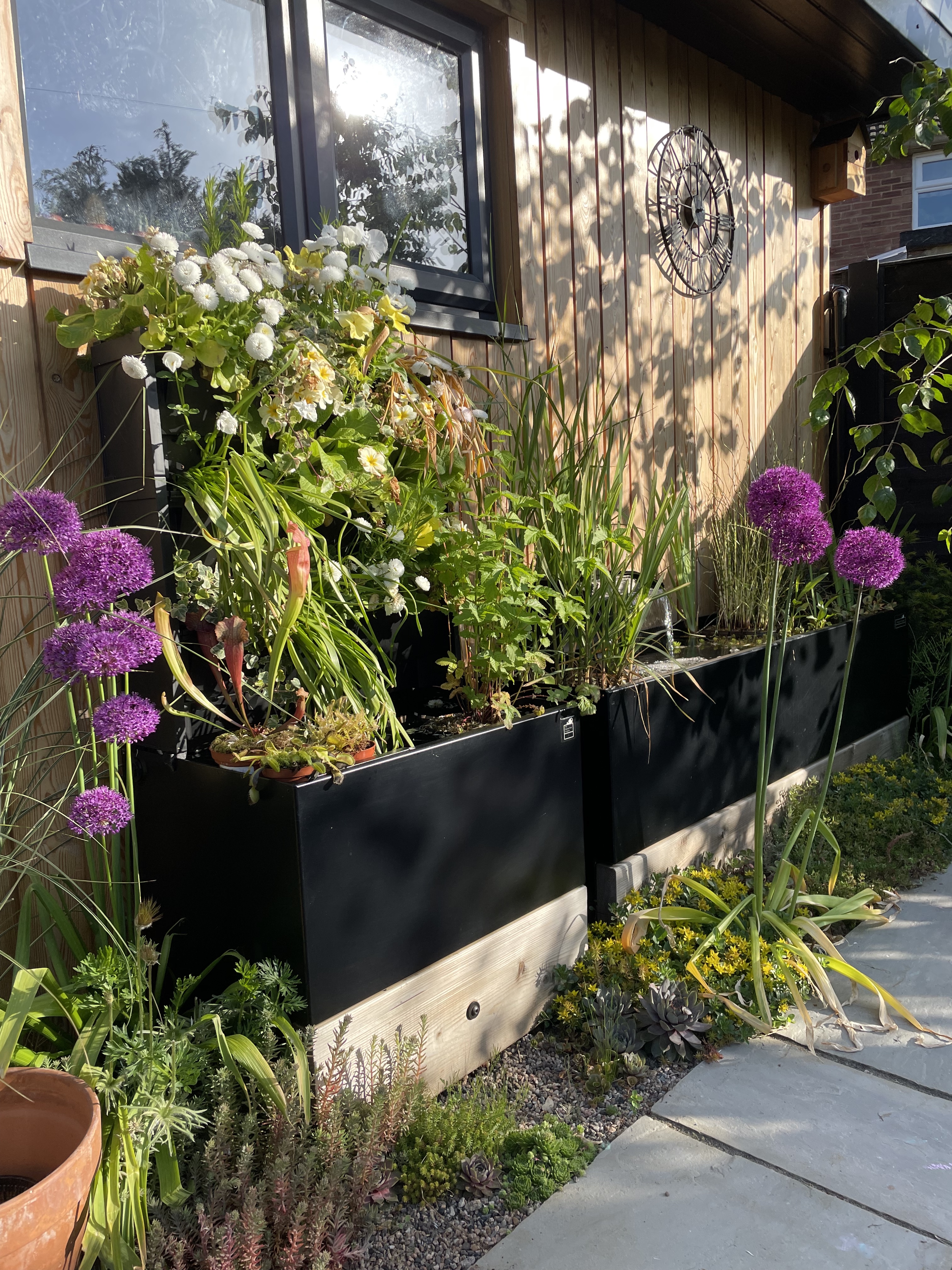 a dipping tank in a garden next to an outdoor structure surrounded by plants