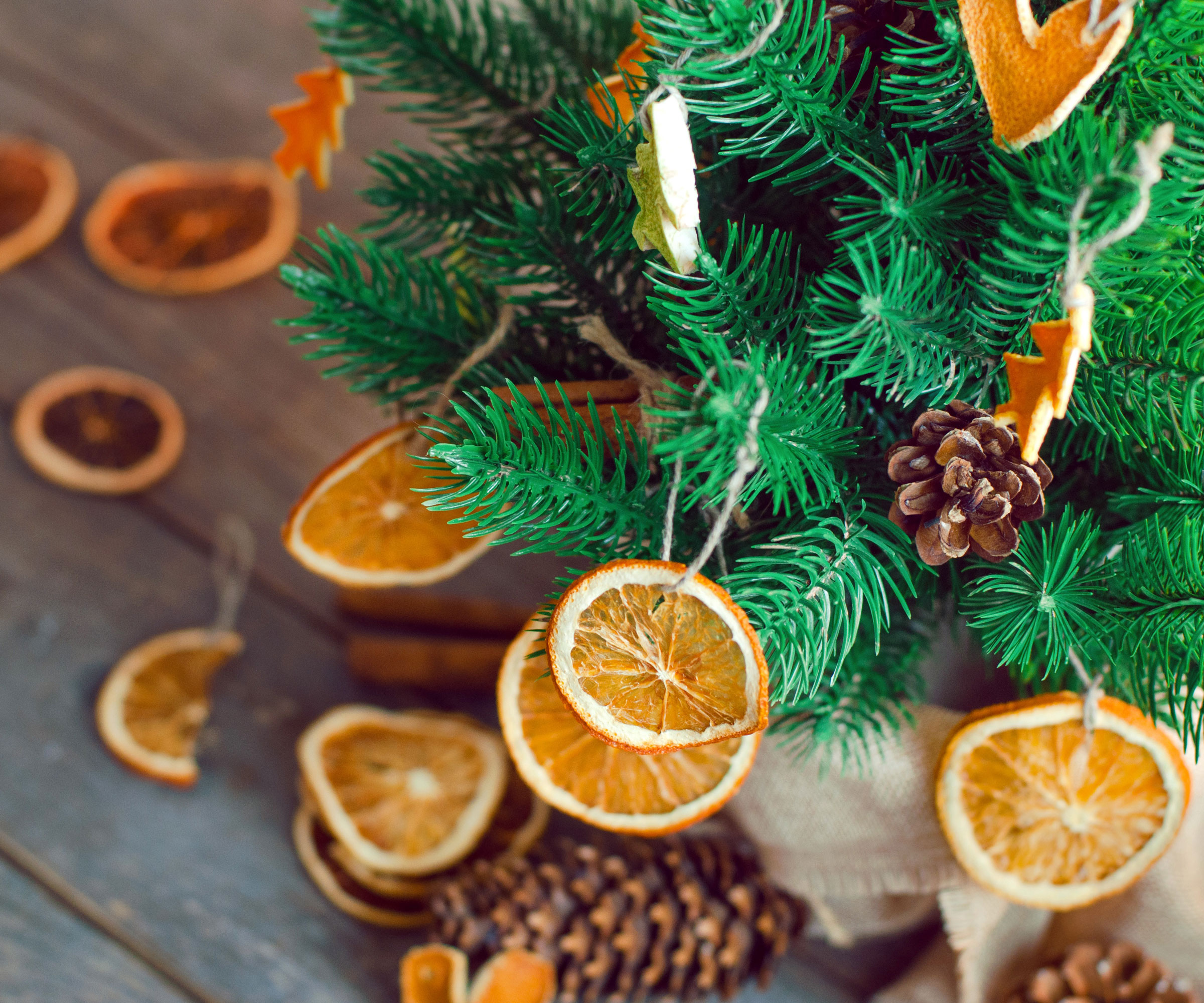 dried orange slices hanging on evergreen branches of Christmas tree