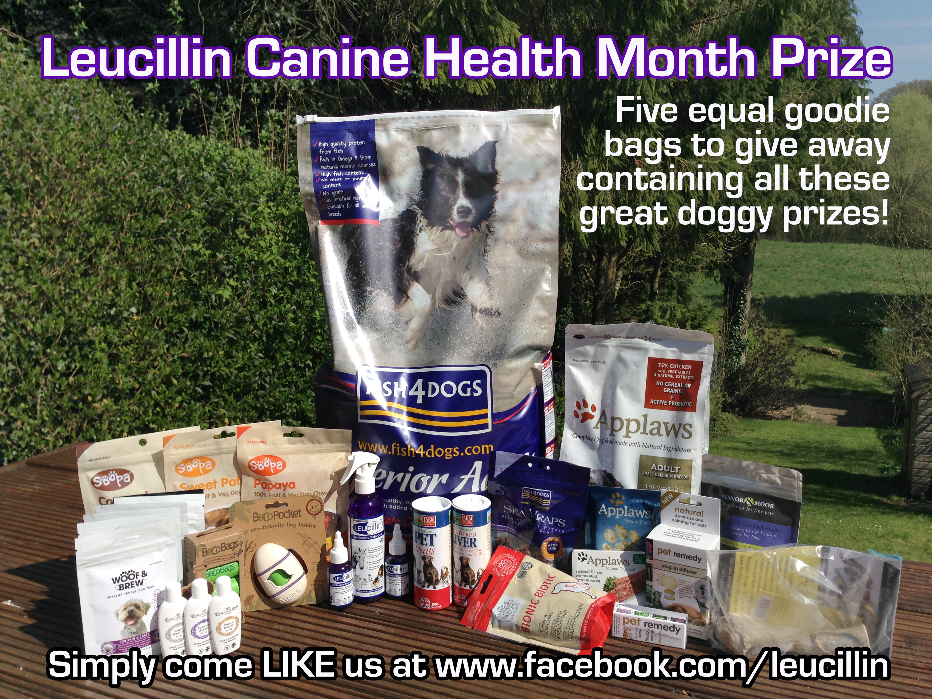 Leucillin goodie bag