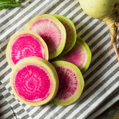 Slices of watermelon radish on towel