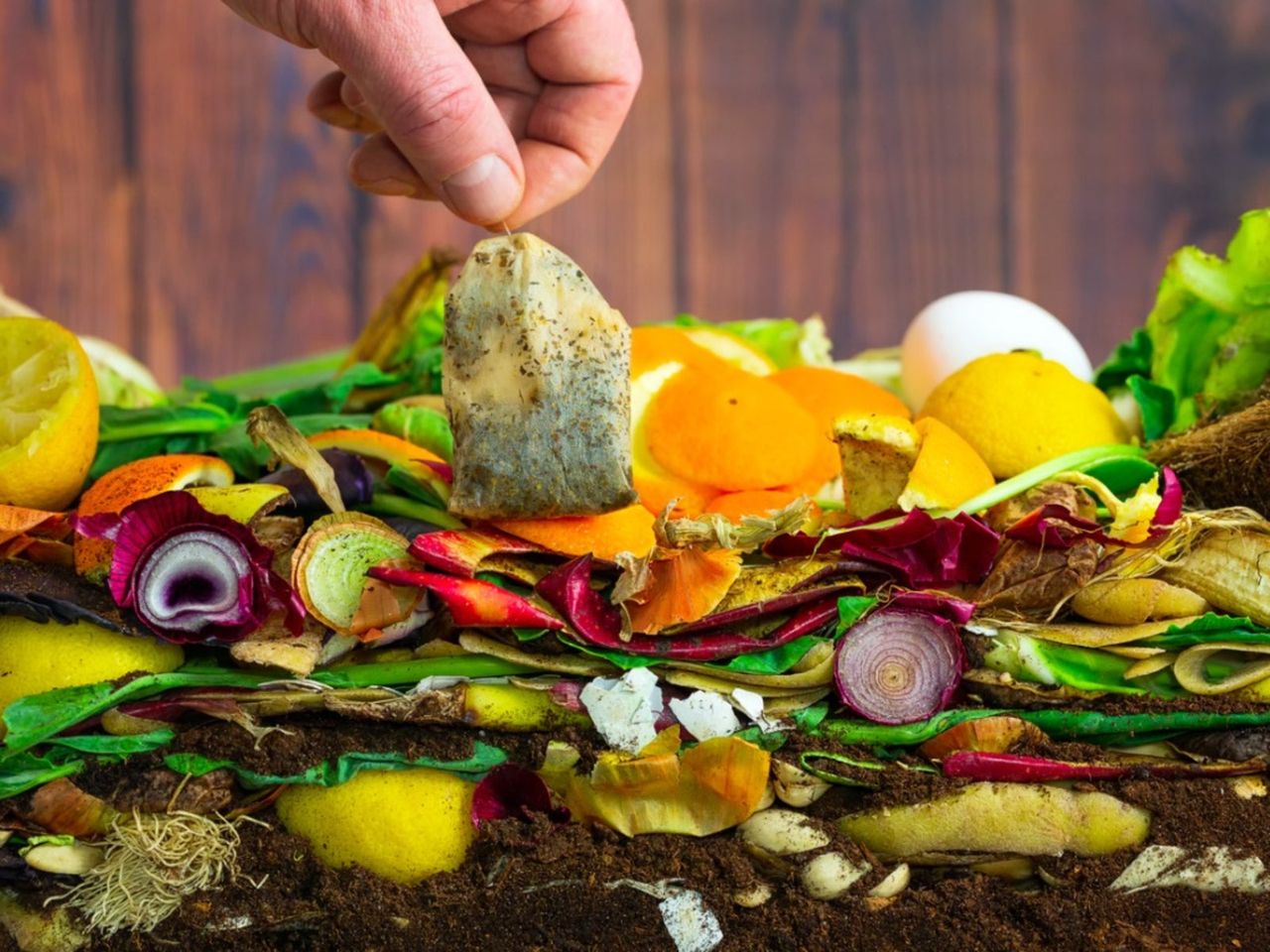 Hand Placing Tea Bag On Food Compost Pile