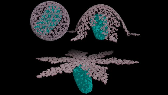 The Most Amazing Science Images of the Week | Live Science