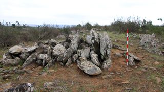 Large collection of the 526 standing stones unearthed at the site of La Torre-La Janera, near Huelva in southwestern Spain.