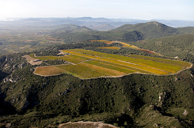 domaine du causse d'arboras