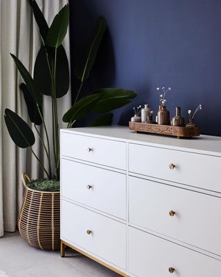 Navy blue walls with white dresser and plant