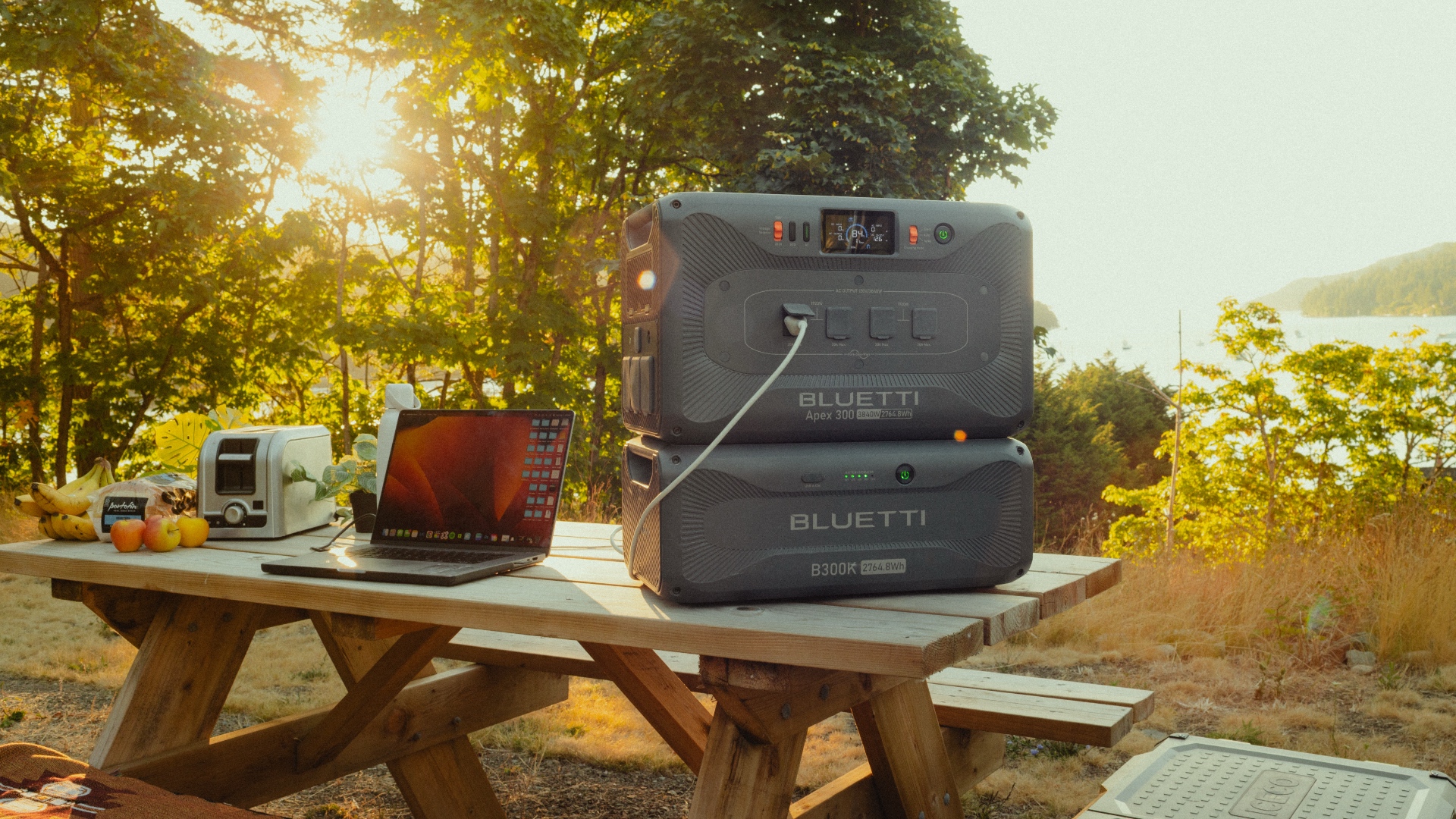 Bluetti Apex 300 portable power station