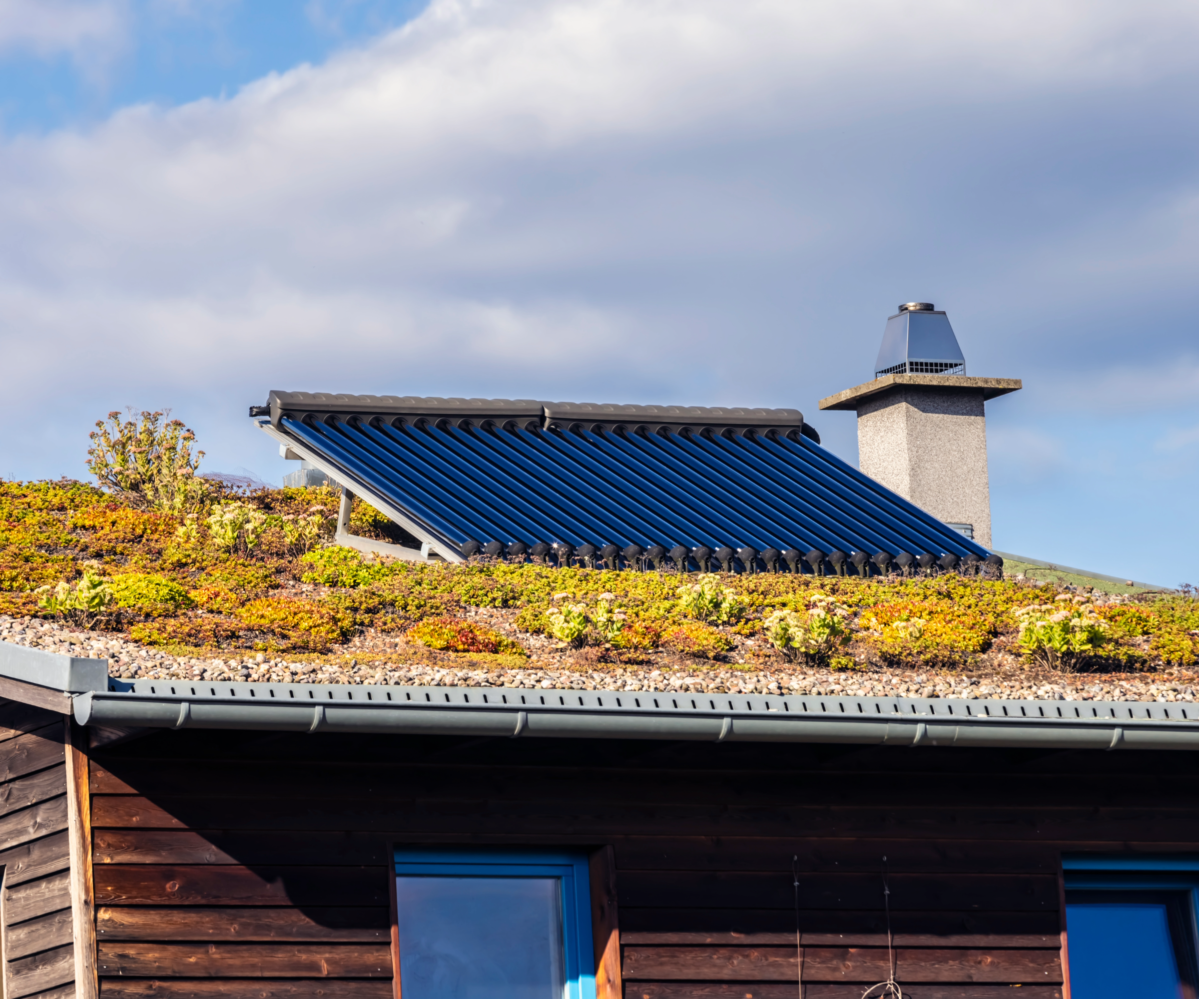 Solar thermal panels on a mossy roof