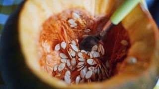 picture of pumpkin seeds being scooped out