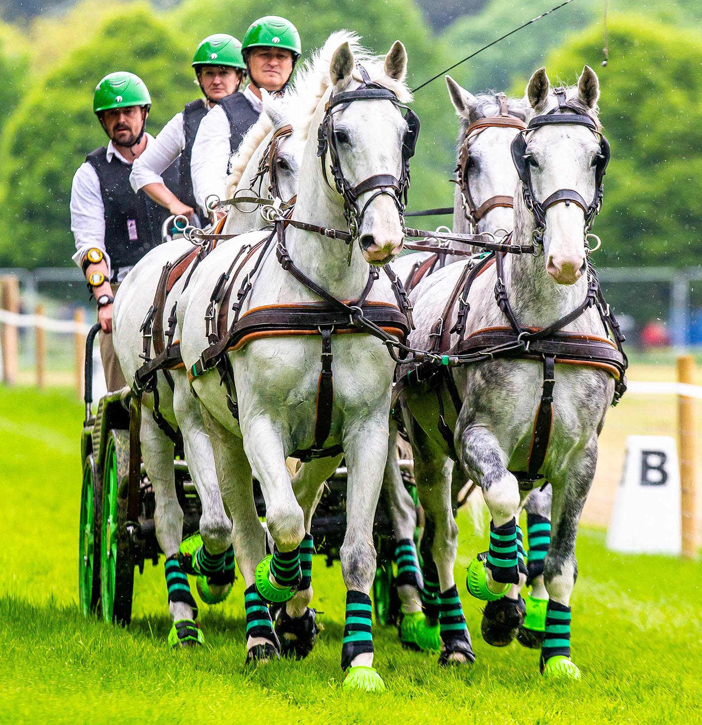 MMKHG6 Windsor, UK. 12th May 2018. Day 4. Royal Windsor Horse Show. Windsor. Berkshire. UK.CAIO-CAI-Driving Marathon. Horse Four in Hand. Daniel Naprous. GBR. 12/05/2018. Credit: Sport In Pictures/Alamy Live News Credit: Sport In Pictures/Alamy Live News Credit: Sport In Pictures/Alamy Live News