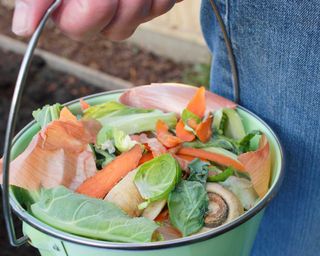 food scraps for composting