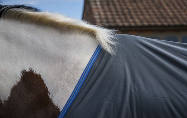 Weatherbeeta Ezi-Dri Standard Neck review