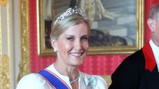 Sophie, Duchess of Edinburgh attends the State Banquet at Windsor Castle on July 08, 2025
