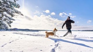 Man playing with dog in snow