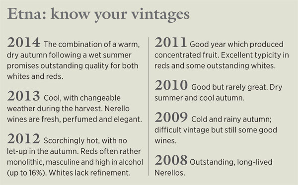0000098b9-Etna_vintages.jpg
