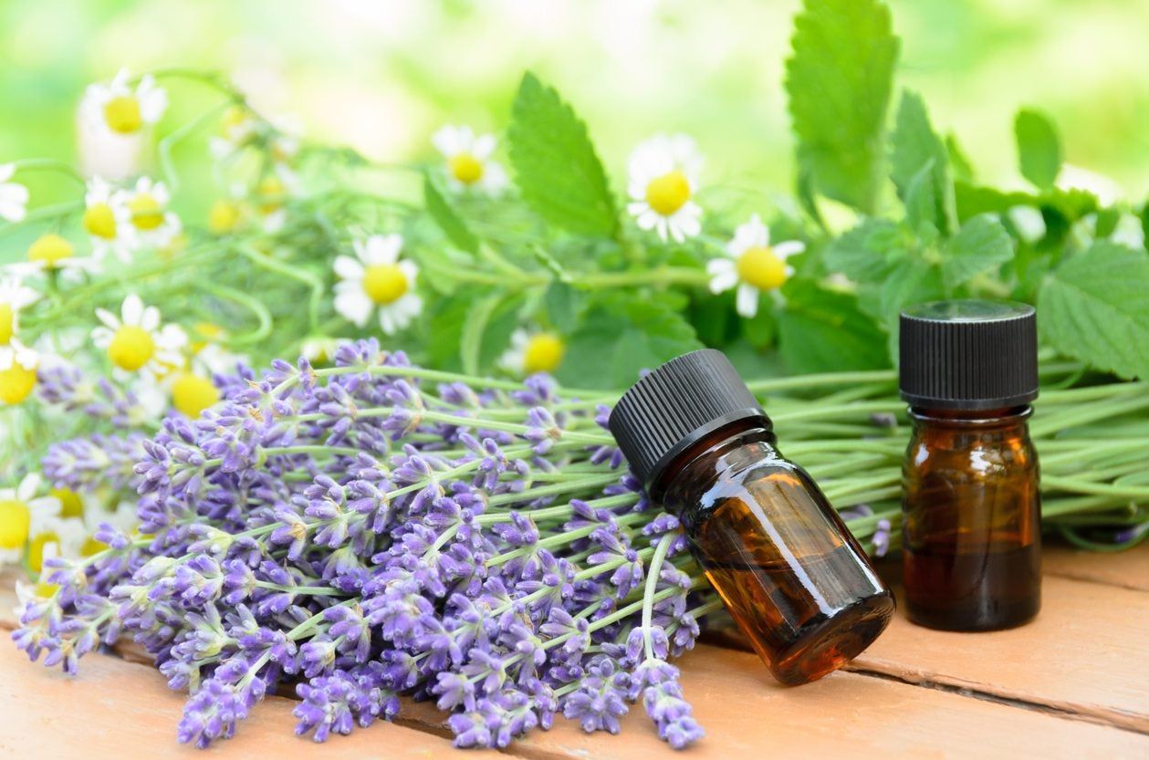 Plants And Flowers Next To Essential Oil Bottles