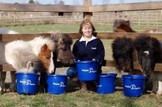 Redwing-Ponies-Donation.jpg