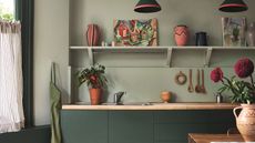 A green kitchen with dark green cupboards, a wooden surface with a sink and a chilli plant on top of it, a shelf above this with artwok, and two green and pink pendant lights above that