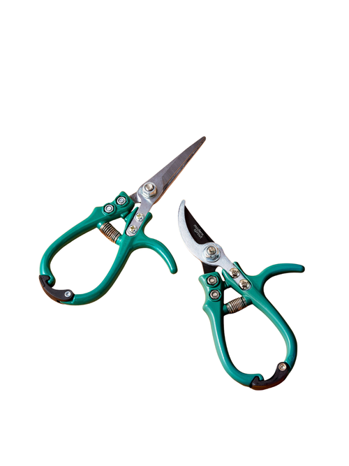 Modern Sprout Gardening Shears & Pruners 