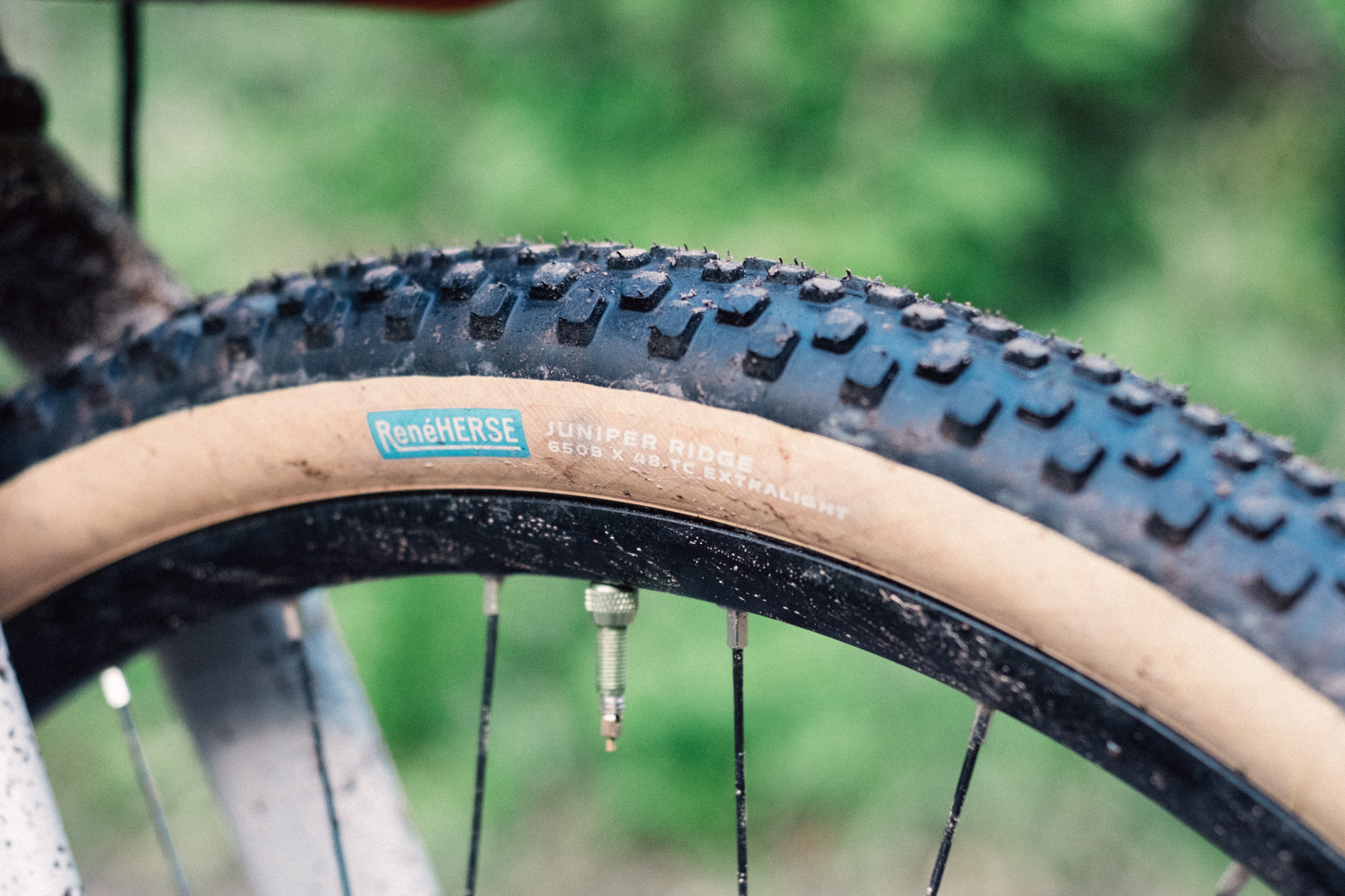 A tan gravel tyre against a forest backdrop